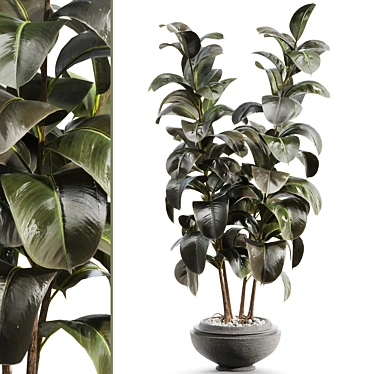 Lush Rubber Tree Miniature 3D model image 1 