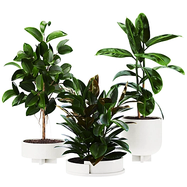 Plants set 107