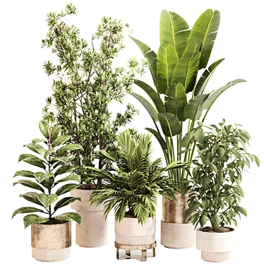 Modern Indoor Plant Decor Set 3D model image 1 