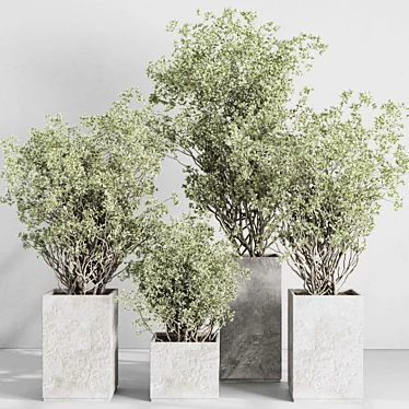 concrete box plants on stand - set outdoor plant 207