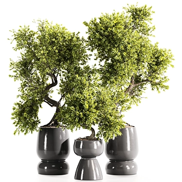 High-Quality Indoor Plants Set 3D model image 1 