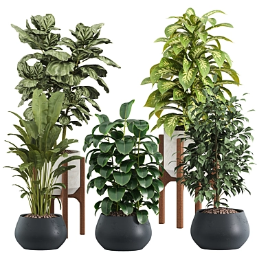 Modern Indoor Plant Set 2018 3D model image 1 