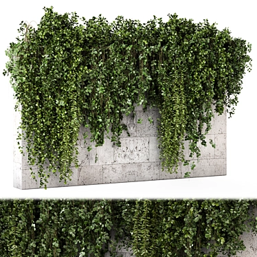 Hanging Plants in Concrete Wall - Set 2294