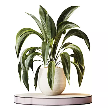 Variegated Peace Lily Domino Set 3D model image 1 