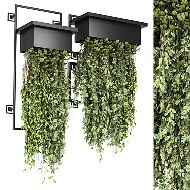 indoor hanging plants in metal shelf_ Set 1346