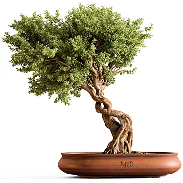 Zen Bonsai Grow Kit 3D model image 1 