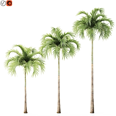 Tropical Christmas Palm Tree Model 3D model image 1 