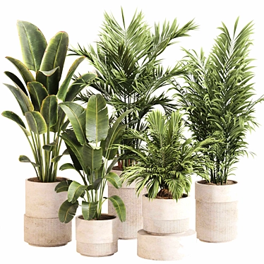 Green Oasis Indoor Plant Set 3D model image 1 