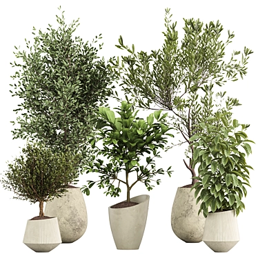 Diverse Indoor Plants Set 3D model image 1 