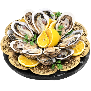 Seafood Oysters Plate 3D Model 3D model image 1 