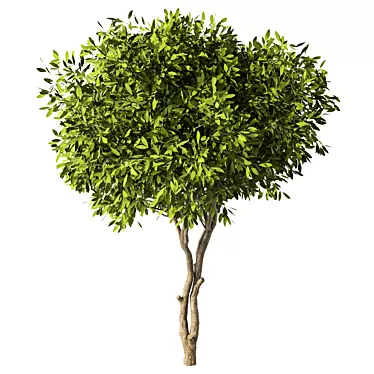 Sleek Modern Tree Sculpture 3D model image 1 