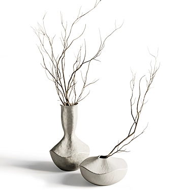 Vases by Katayone AdeliI with branches