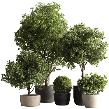 Grove Greenery 765 - Potted Tree 3D model image 1 