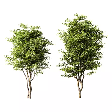 Sleek Modern Tree Sculpture 3D model image 1 