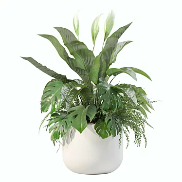 Monstera Fern Peace Lily Bundle 3D model image 1 