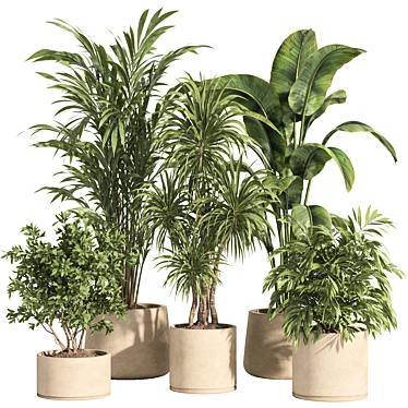 Potted Indoor Plant Set 80 3D model image 1 