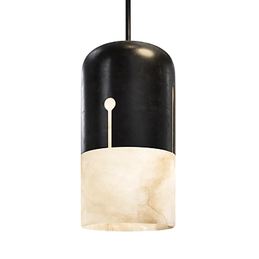 Designer Pendant Light Fixture 3D model image 1 