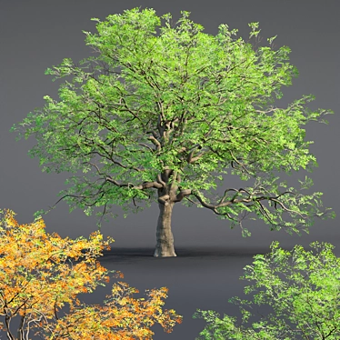 Low poly Oak tree vol 54