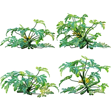 Varied 3D Plant Model Collection 3D model image 1 