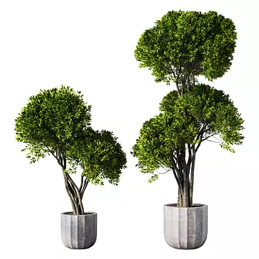 Modern Indoor Plant Set Ensemble 3D model image 1 