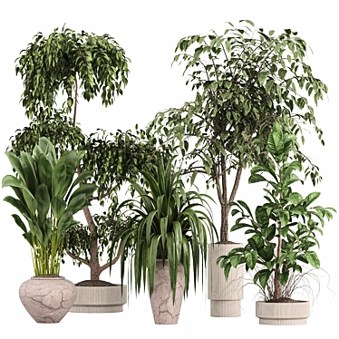  Modern Indoor Plant Set 3D model image 1 