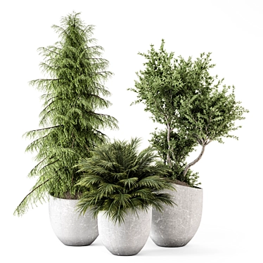 Indoor Plants in rusty Concrete Pot - Set 2347