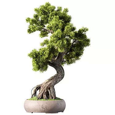 Bonsai Tree Set, 162 Miniatures 3D model image 1 