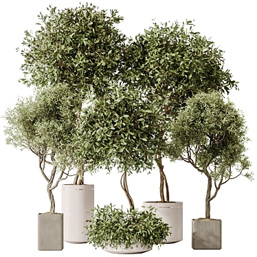 Elegant Artificial Olive Tree Set 3D model image 1 