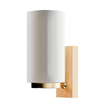 Modern Swedish Designer Wall Sconces 3D model image 1 