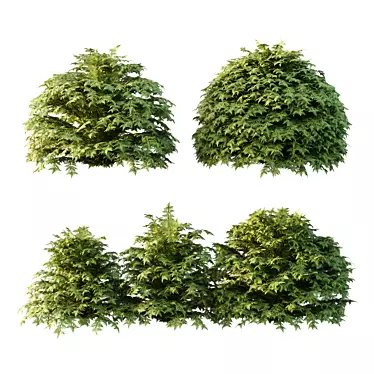 Title: Versatile Cypress Bush 3D Model 3D model image 1 