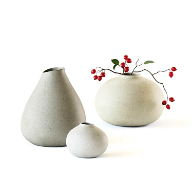 Red Berry Vase Set 3D model image 1 