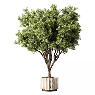 Modern Greenery Set for Indoor 3D model image 1 