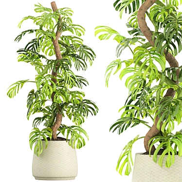 Green Oasis Indoor Plants Set 3D model image 1 