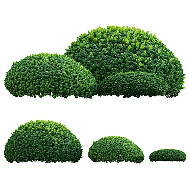 Diverse 3D Plant Models Kit 3D model image 1 