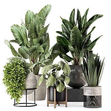 Modern Indoor Plants Set 2373 3D model image 1 