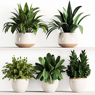 High-Quality Indoor Plant Shelf Set 3D model image 1 