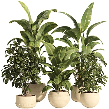 indoor plant set 82-concrete pot