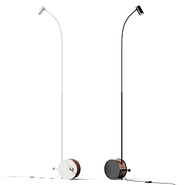 Sleek Adjustable Floor Lamp 3D model image 1 