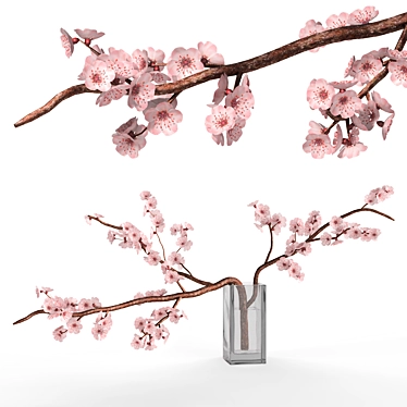 Blooming Cherry Branch in A Vase 01