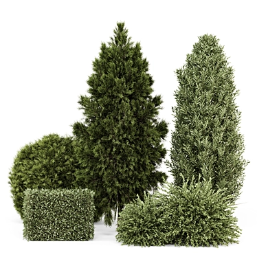 Outdoor Plants Bush Set 2389 3D model image 1 