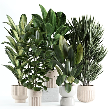 Custom Indoor Plant Model 2024 3D model image 1 