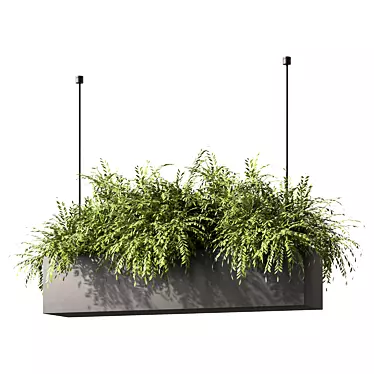 Modern Plant Hanging Trio Set 3D model image 1 