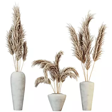 HQ HousePlants Decorative Miscanthus Pampas Dried Branches