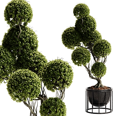 TurboSmooth Topiary Plant 30 3D model image 1 