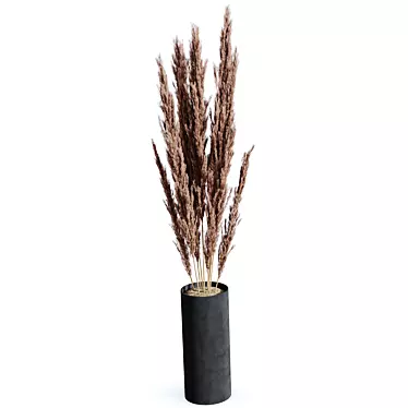 Pampas Grass Decor Bundle 3D model image 1 