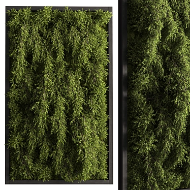 Vertical Garden - Green Wall 124