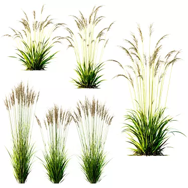 Grass 3D Models Bundle Kit 3D model image 1 