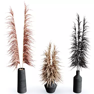 Natural Pampas Grass Decor Set 3D model image 1 