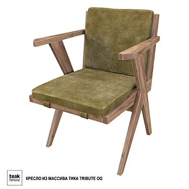 Teak Wood Armchair TRIBUTE OG 3D model image 1 