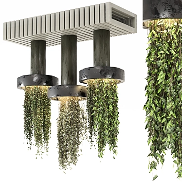  Indoor Hanging Plants Collection 3D model image 1 